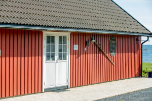 Bua